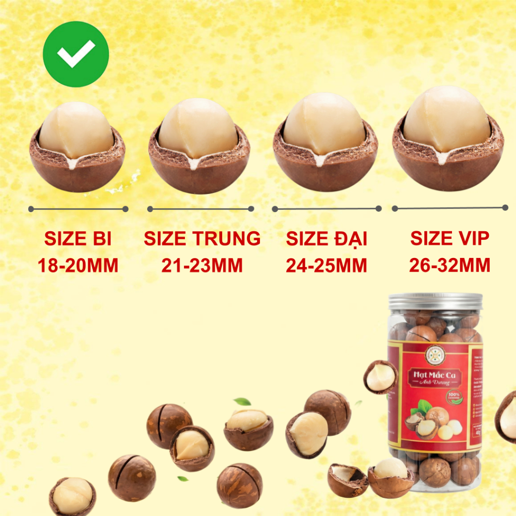 Combo 1KG Hạt Macca Đắk Lắk Cao Cấp Loại 1 (6)
