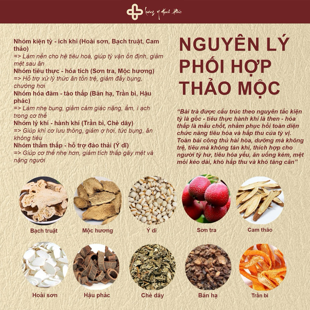 Trà Kiện Tỳ (6)