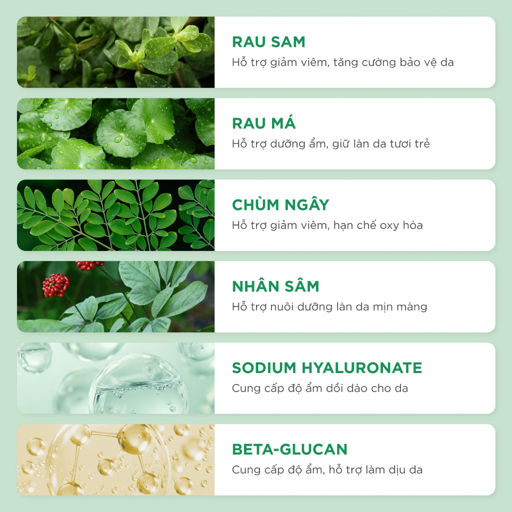 Nư�c cân bằng Caryophy  (Caryophy Portulaca Toner ) (6)