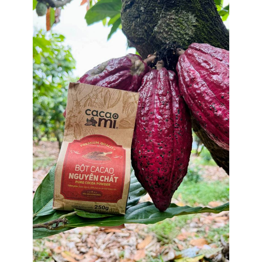 Bột Cacao Nguyên Chất Không Đường CACAOMI Premium Gu Đậm Vị (7)